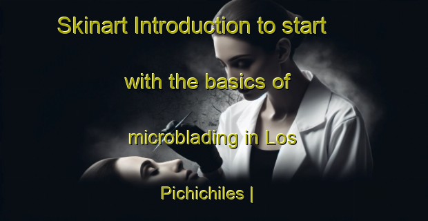 Skinart Introduction to start with the basics of microblading in Los Pichichiles | MicrobladingTraining | MicrobladingClasses | SkinartTraining-Mexico